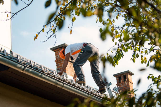 Best Metal Roofing Contractor  in Patterson, CA